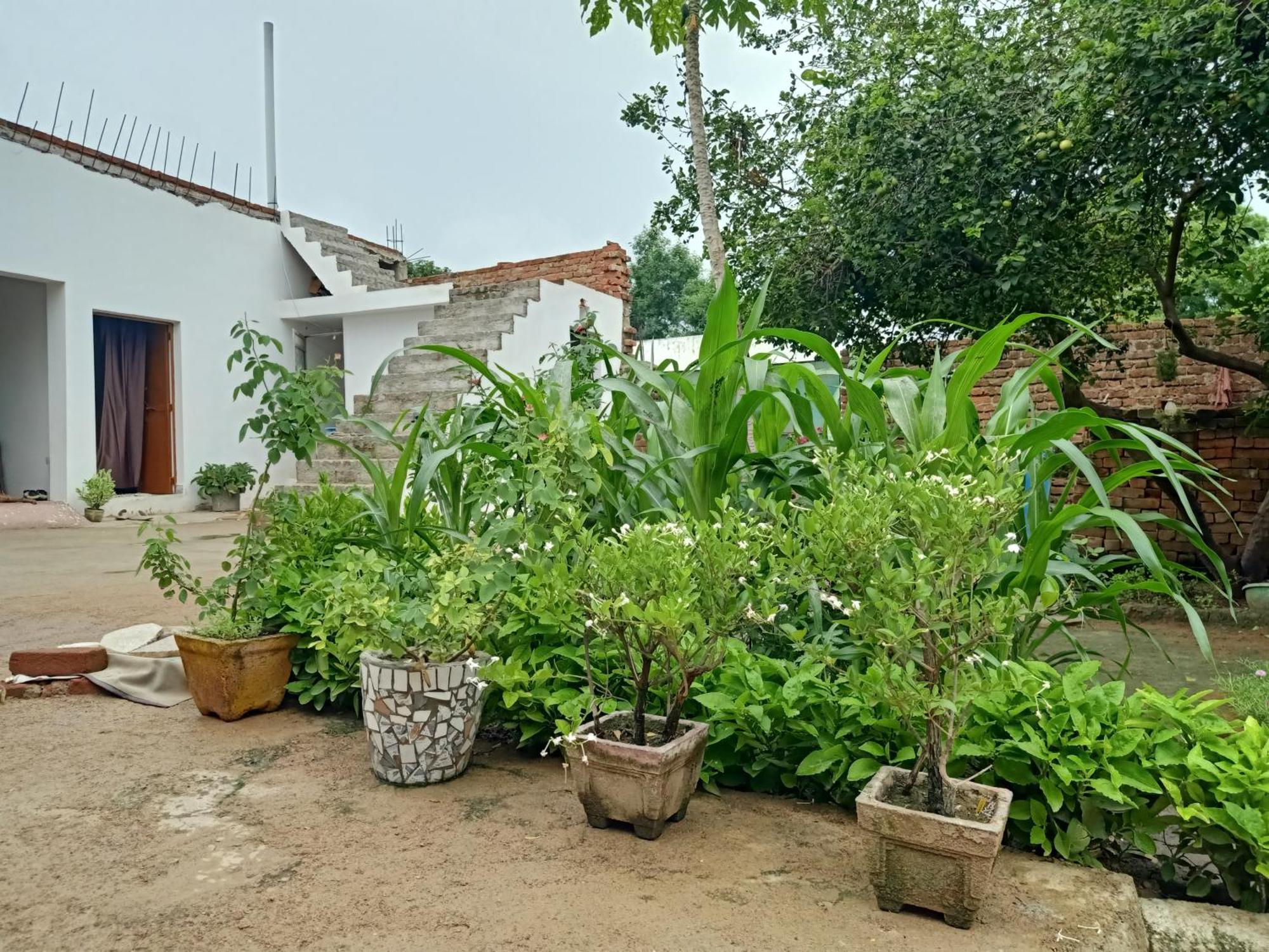 Khajuraho Rancho Appartement Buitenkant foto