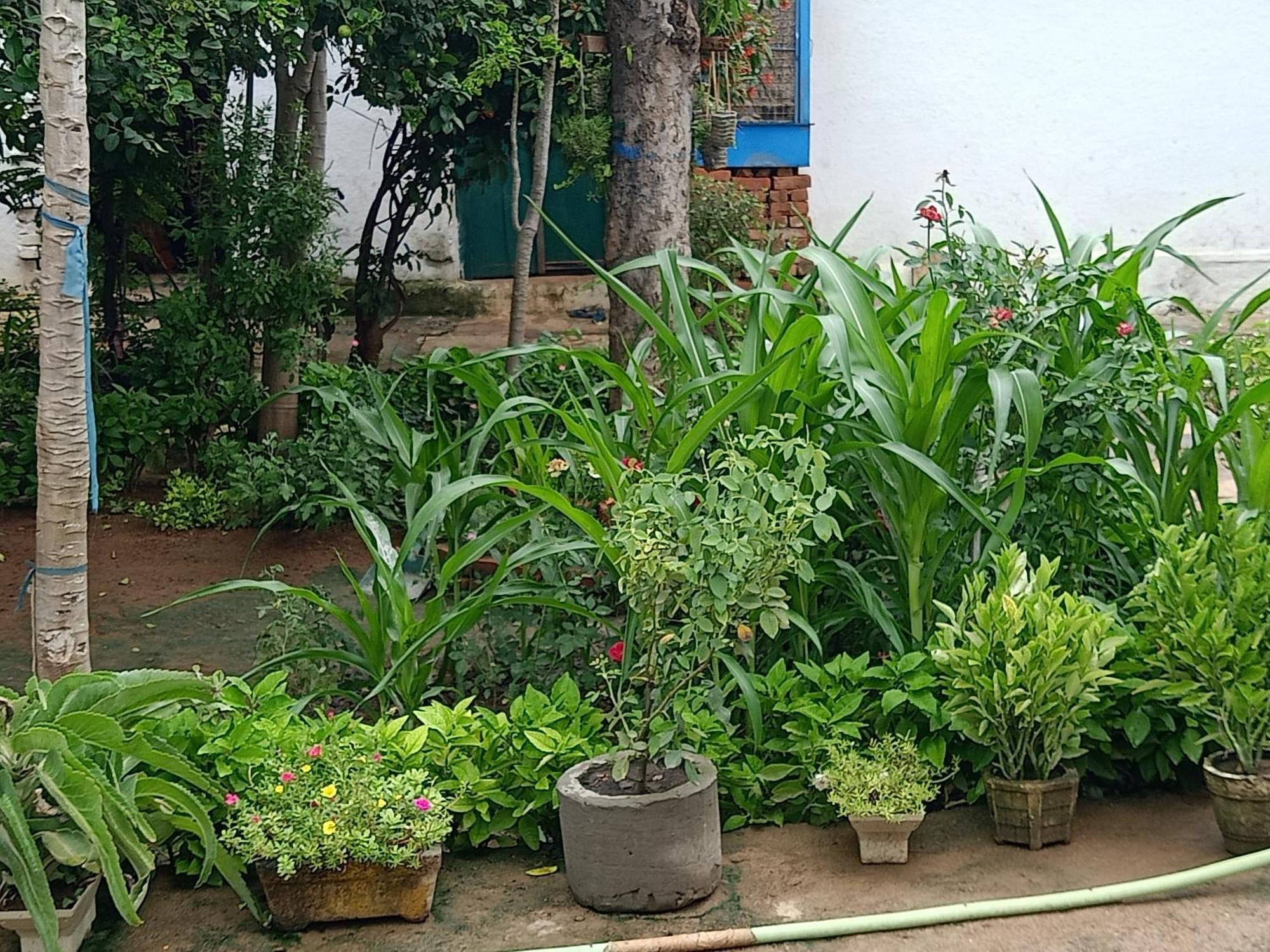Khajuraho Rancho Appartement Buitenkant foto
