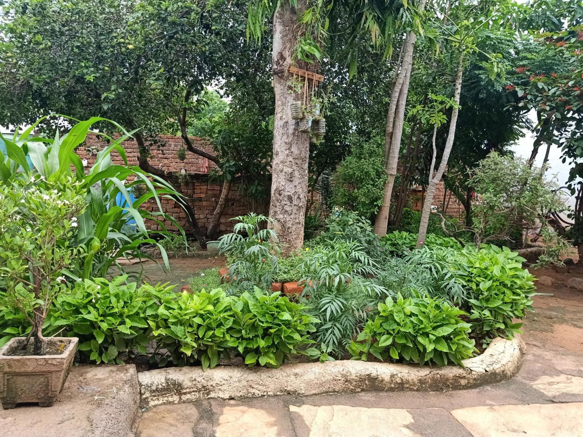 Khajuraho Rancho Appartement Buitenkant foto