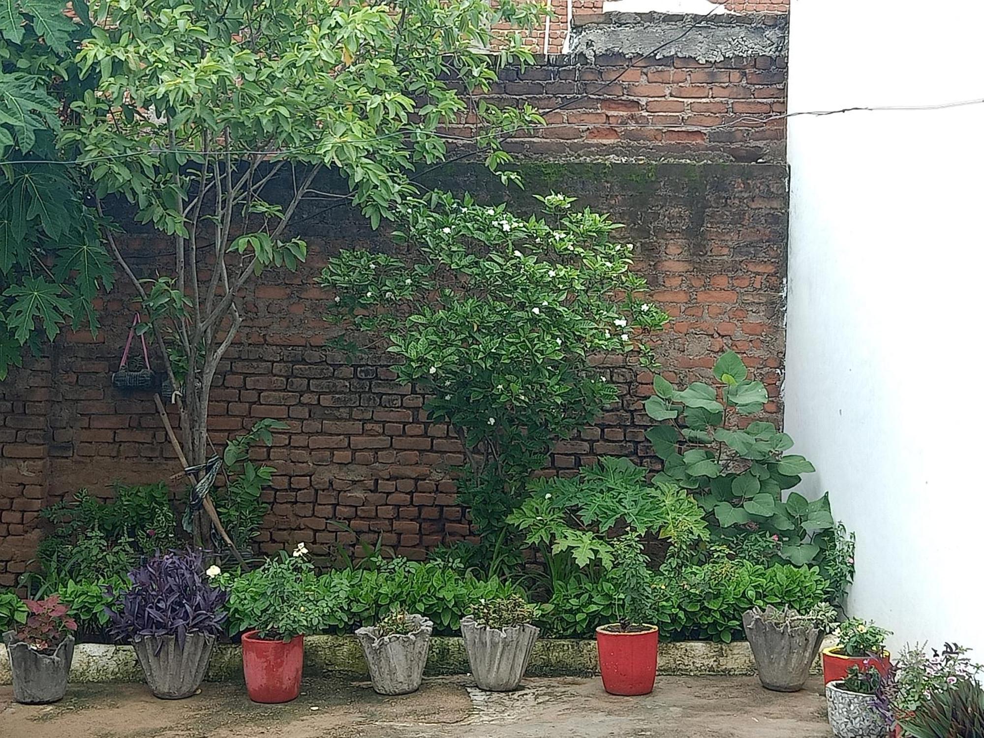 Khajuraho Rancho Appartement Buitenkant foto