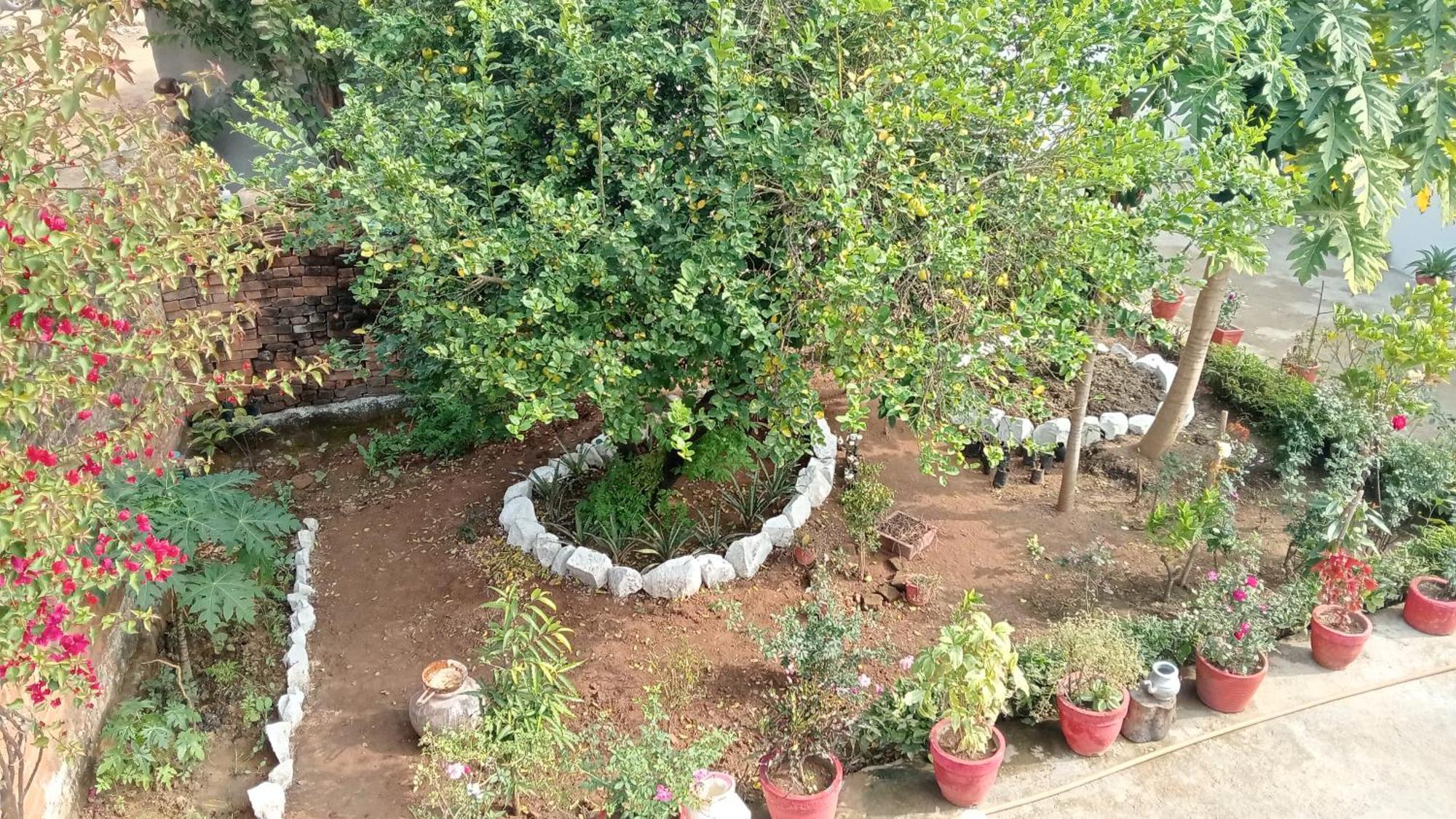 Khajuraho Rancho Appartement Buitenkant foto